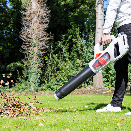 Cordless Leaf Blower Set