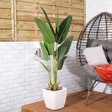 Alfresia Artificial Plant - Wide Leaf, Suitable for Indoor or Outdoor Use